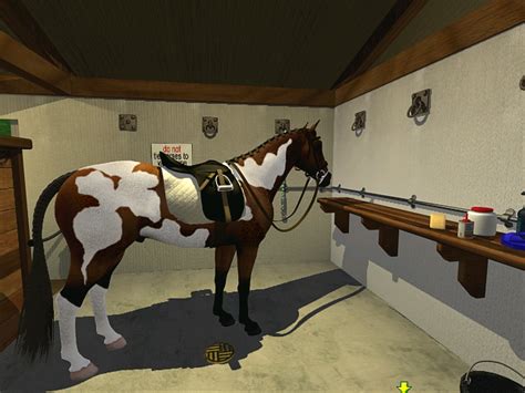 horse computer game 2000s|Horse Illustrated: Championship Season .